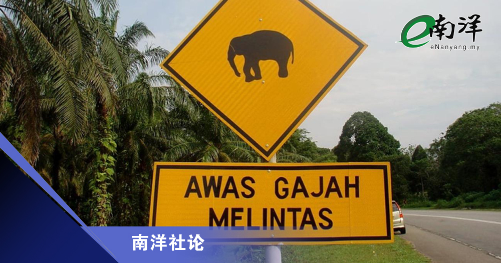 保護動物的綠色通道/南洋社論